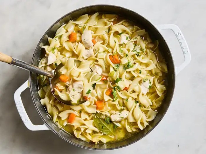 Chicken noodle soup canned chicken recipe