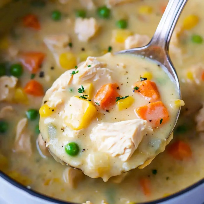 Award winning chicken soup recipes