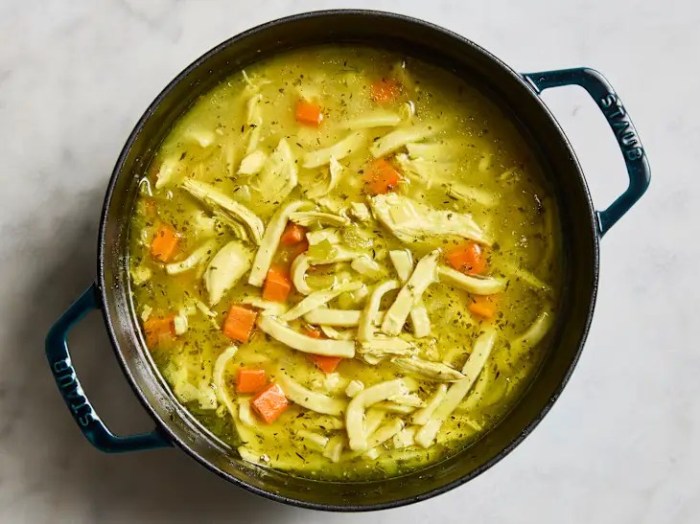 Best ever chicken soup recipe