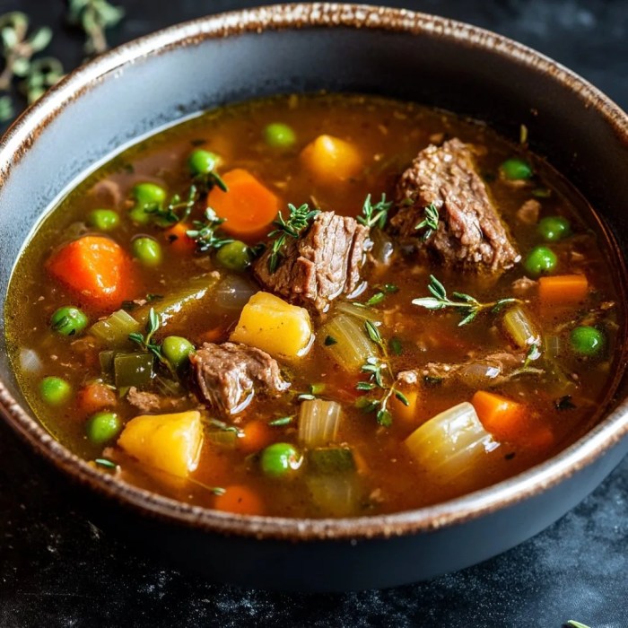 Vegetable beef soup recipe with noodles