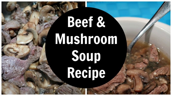 Cream of beef soup recipe