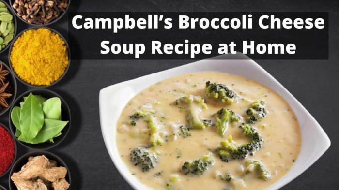 Campbell's cheddar broccoli soup recipes