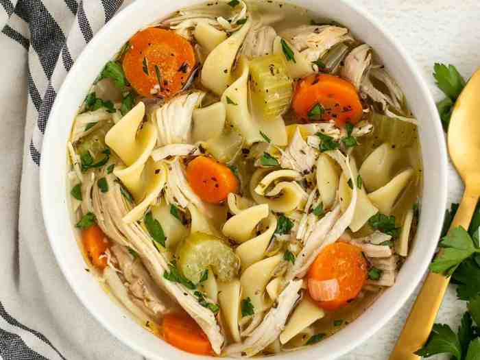 Soup chicken noodle ultimate recipe recipes taste