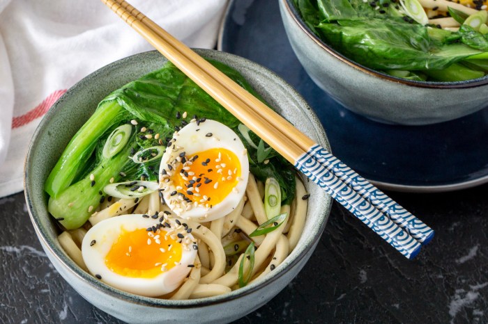 Vegetarian udon noodle soup recipe