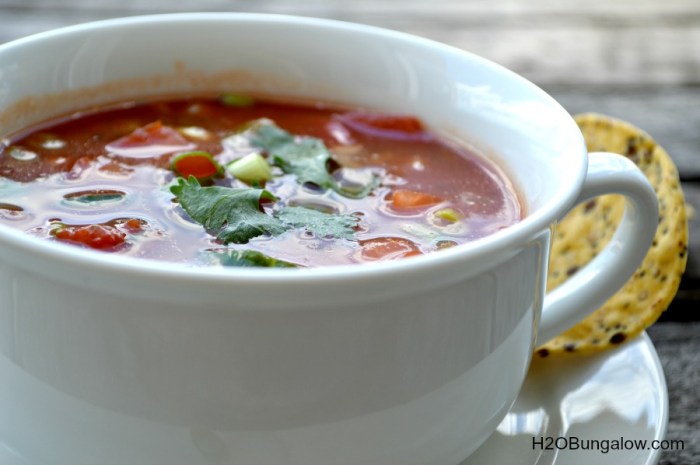 Soup gazpacho recipe h2obungalow easy freash simple sound fresh cold summer have craving doesn mean started amazing really