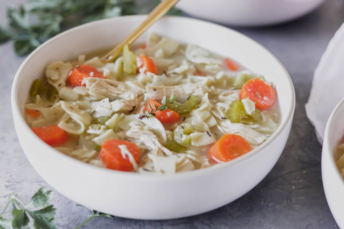 All recipes slow cooker chicken noodle soup