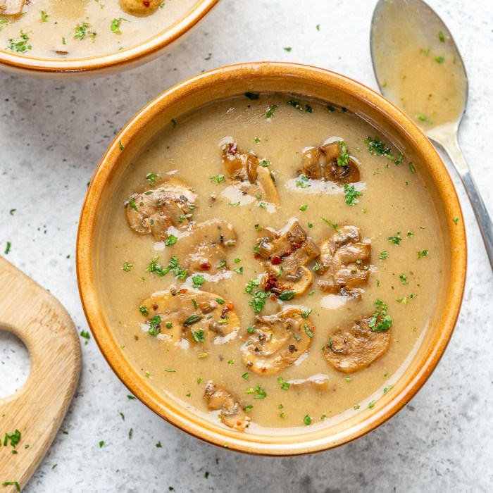 Slow cooker mushroom soup recipes