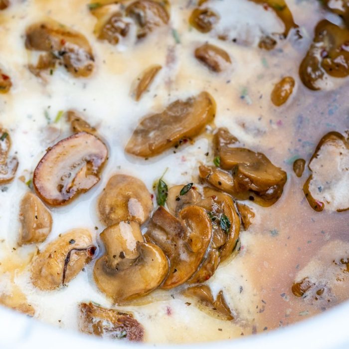 Slow cooker mushroom soup recipes