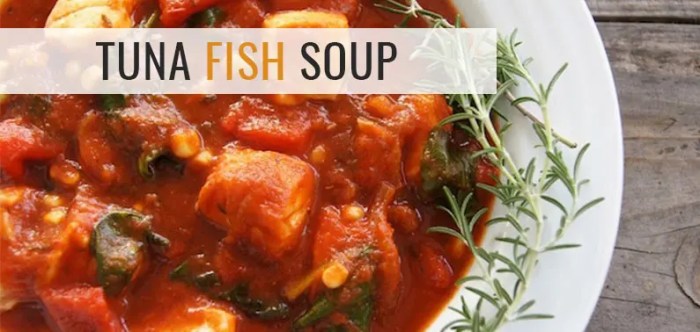 Soup fish sour romanian style recipe