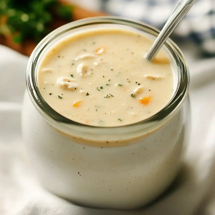 Simple cream soup recipes