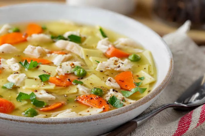 Chicken noodle soup recipe allrecipes