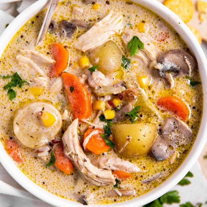 Turkey soup recipe allrecipes